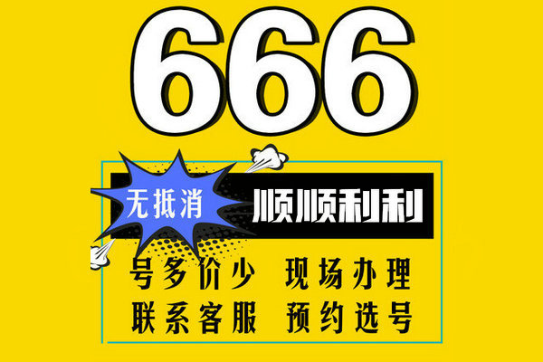 上海定陶137号段手机尾号666吉祥号出售