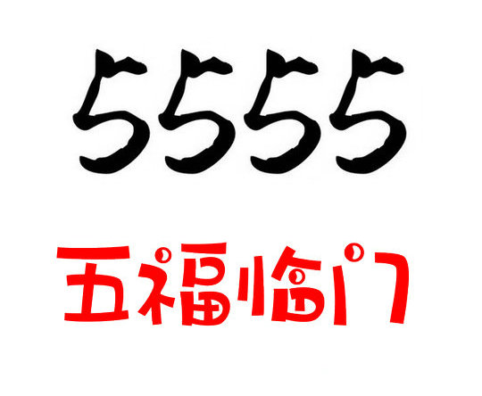 菏泽联通号段555吉祥靓号汇总