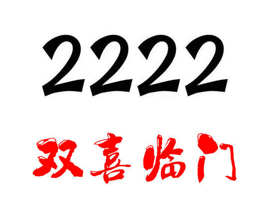 菏泽电信号段222吉祥号码合集